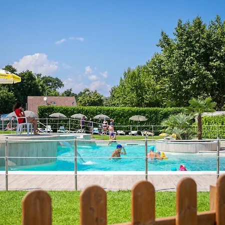 Rose 2* ドルメッレット