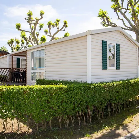 Rose キャンプ場