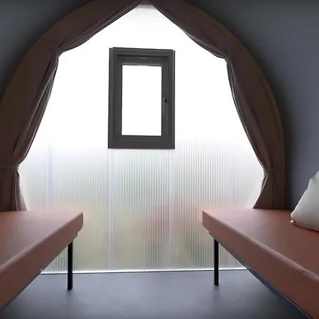 Rose ドルメッレット